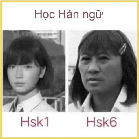 Học Hán Ngữ - Meme tiếng Trung