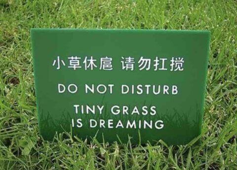 Chinglish Tiếng Anh bồi của người Trung Quốc