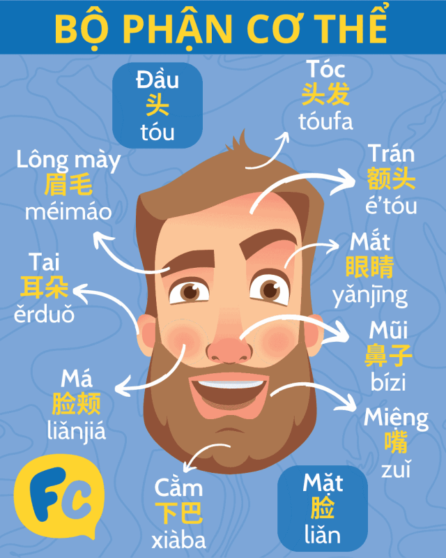 Bộ phận cơ thể tiếng Trung: đầu và khuôn mặt