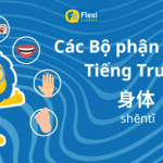 Tất tần tật Từ vựng về Các bộ phận cơ thể trong tiếng Trung Thumbnail