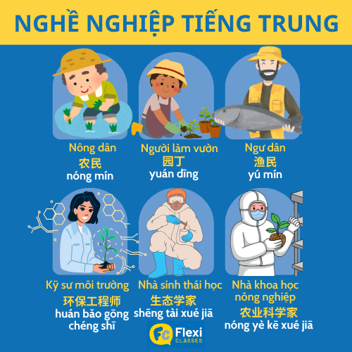 Bộ từ vựng nghề nghiệp tiếng Trung phân loại theo các ngành, lĩnh vực