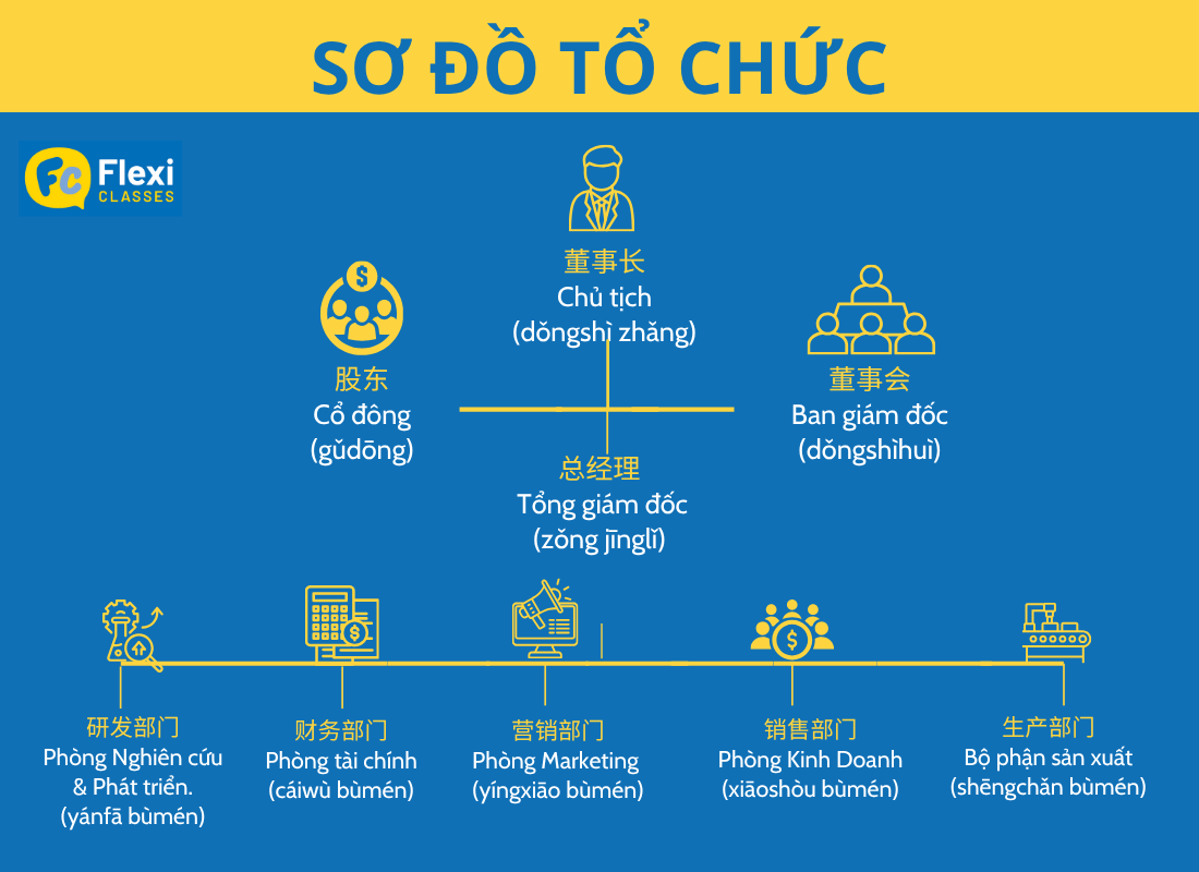 Nghề nghiệp tiếng Trung: sơ đồ tổ chức doanh nghiệp