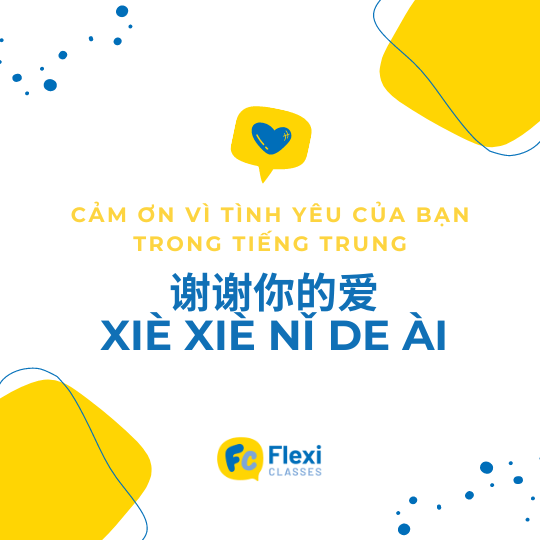 Cảm ơn tình yêu của anh trong tiếng Trung