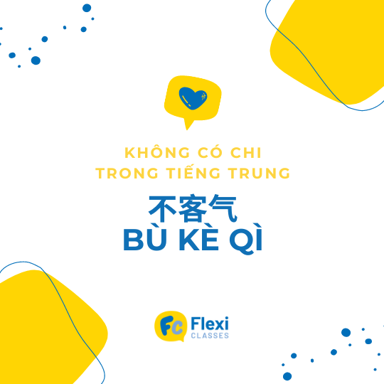 Không có chi trong tiếng Trung