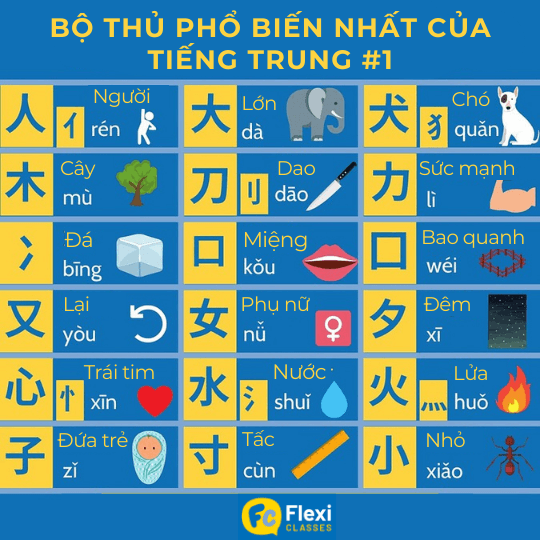 bộ thủ tiếng trung phổ biến