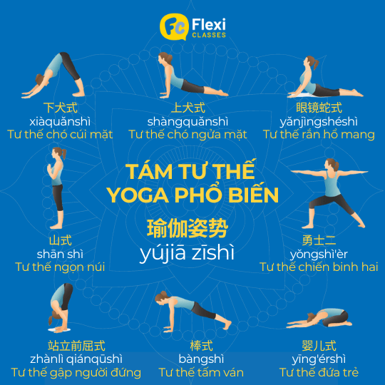 8 tư thế yoga phổ biến trong tiếng trung