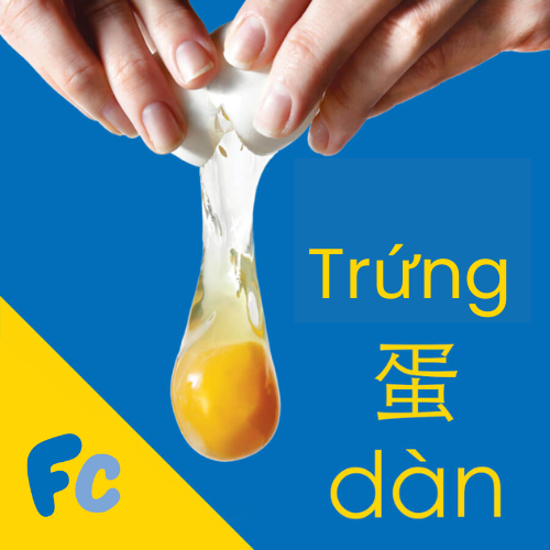 Trứng Trong Tiếng Trung