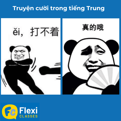 meme tiếng trung