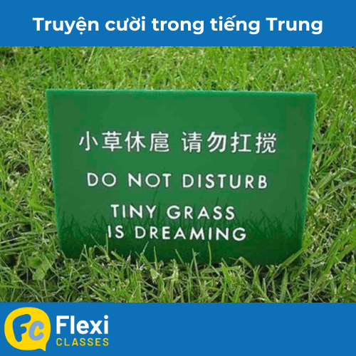 meme tiếng trung