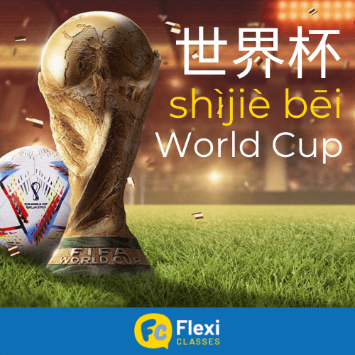 Từ vựng tiếng Trung chủ đề bóng đá. World Cup trong tiếng Trung.