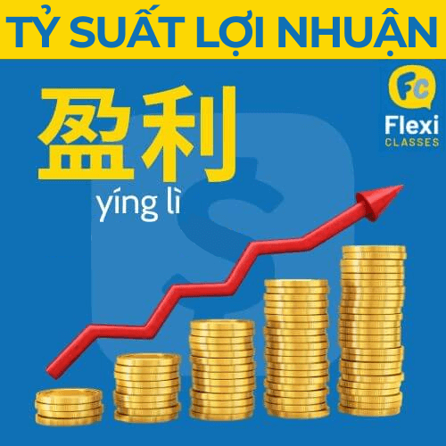 tỷ suất lợi nhuận tiếng Trung tài chính kế toán