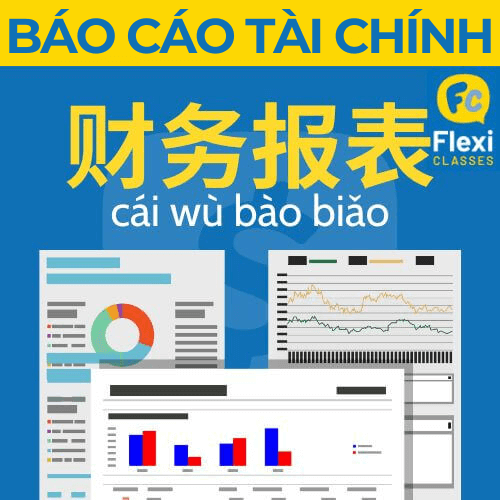 báo cáo tài chính tiếng Trung tài chính kế toán
