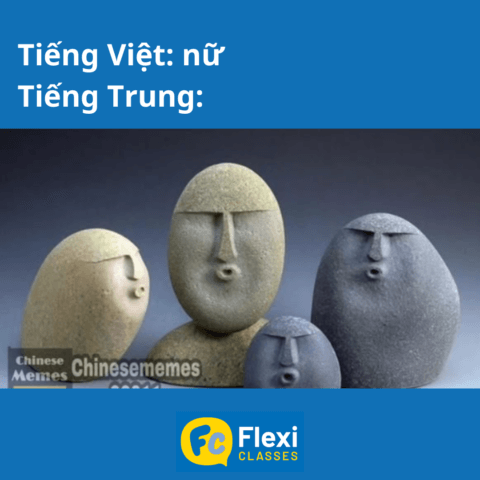 meme thanh điệu tiếng Trung