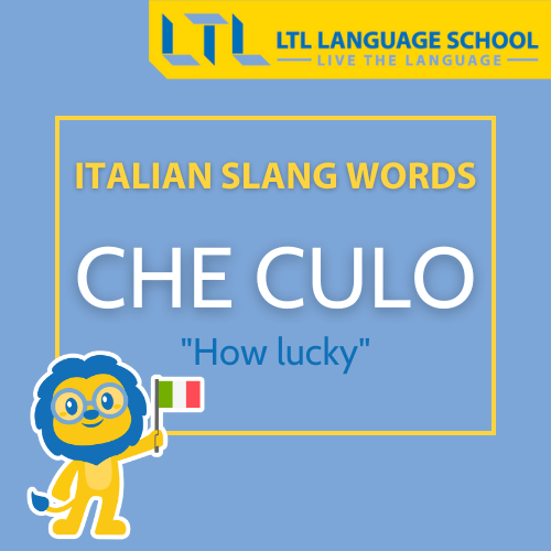 Italian slang words - Che culo