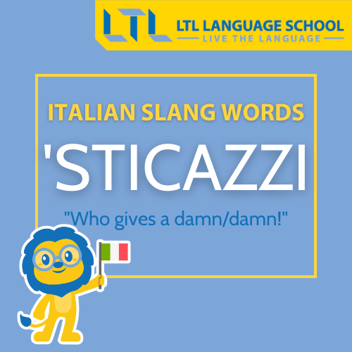 Italian slang words - 'Sticazzi