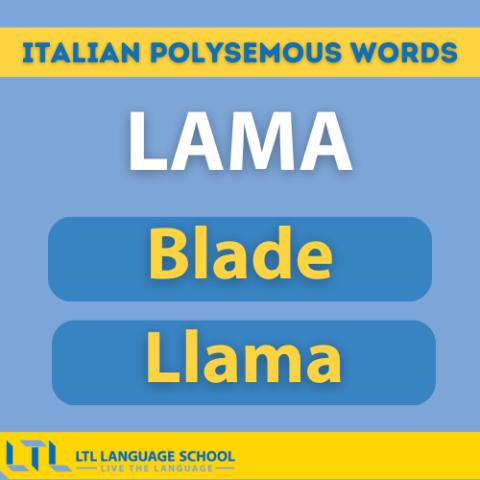 Polysemous Italian Polysemous Words || 15 Words With Multiple Meanings
