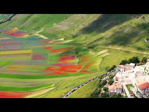 FIORITURA 2020 CASTELLUCCIO DI NORCIA-4K