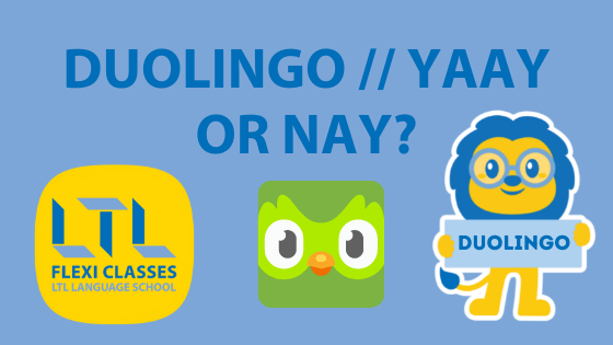 Duolingo Japanese Review: Pros and Cons When Learning Japanese