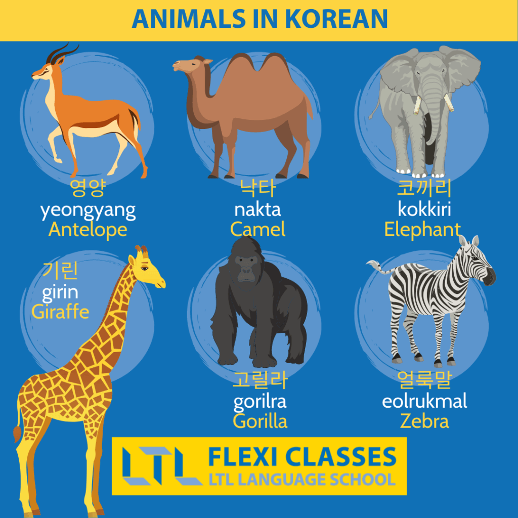 Animals in Korean
