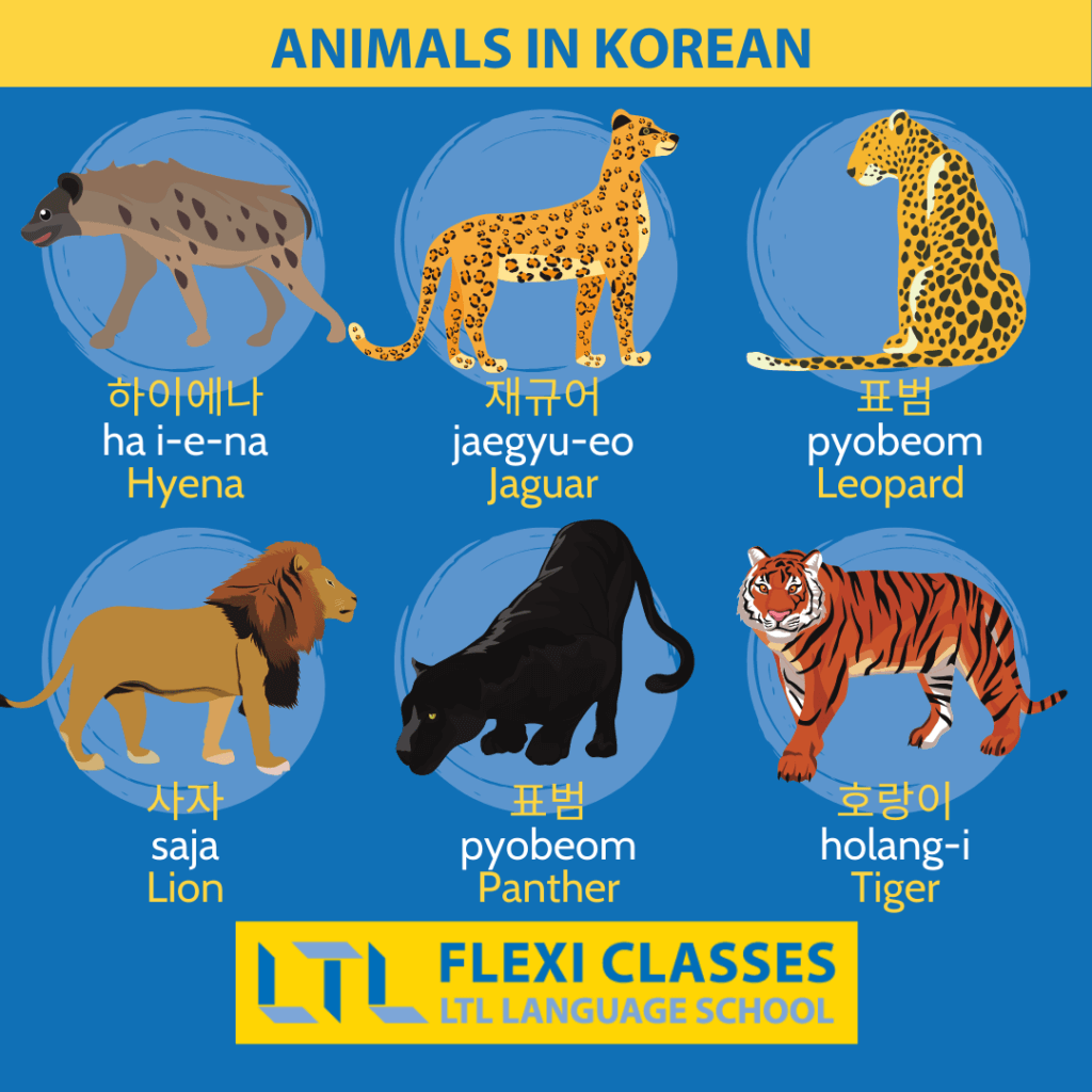 Animals in Korean (170+) // The Ultimate Guide + Flashcards & Quiz - Flexi  Classes Korean