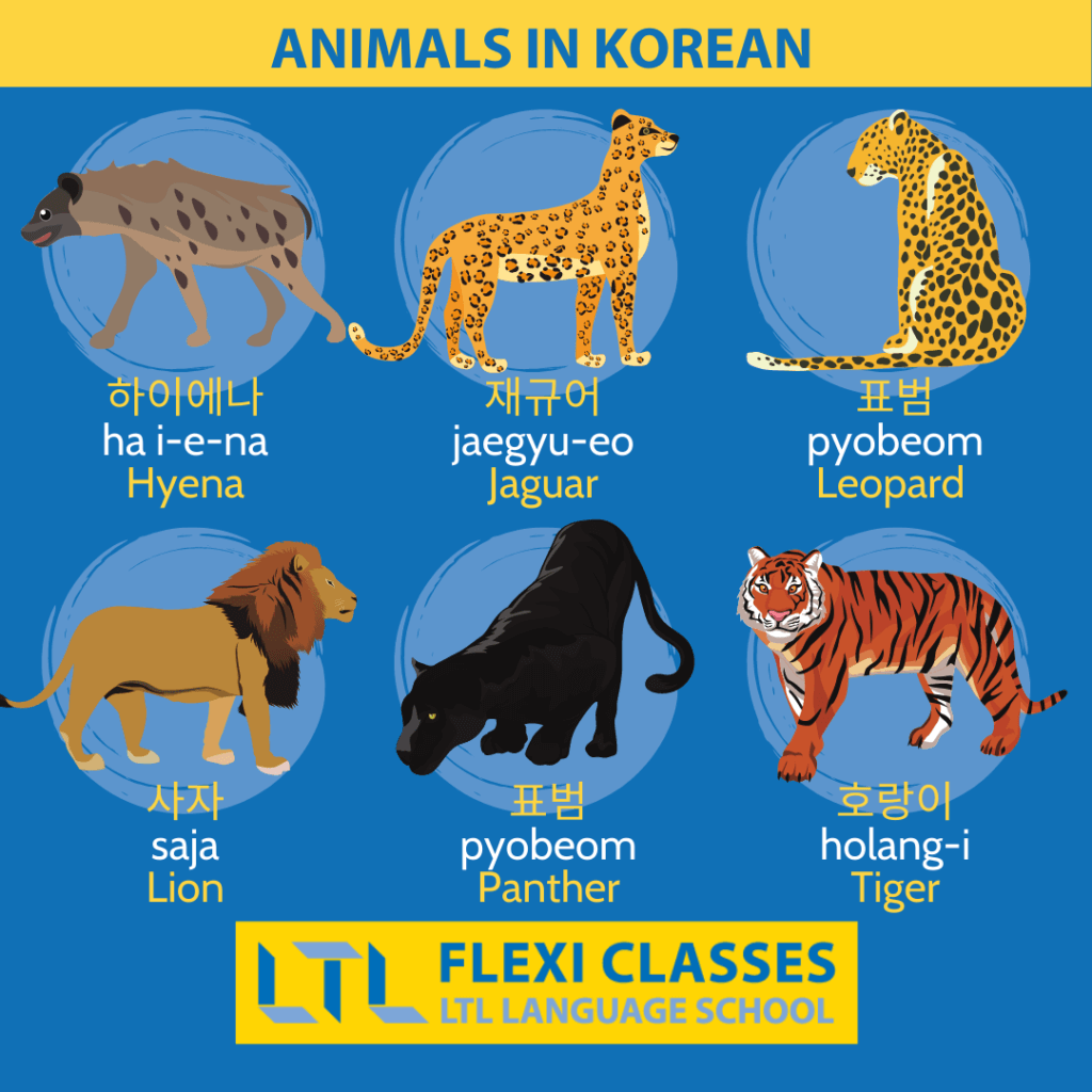 Animals in Korean