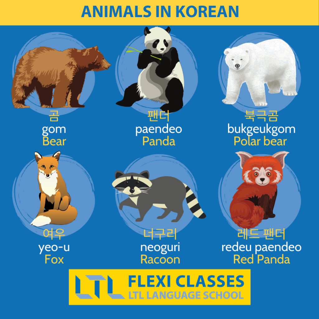- Animals in Korean