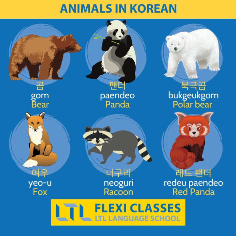 Animals in Korean (170+) // The Ultimate Guide + Flashcards & Quiz