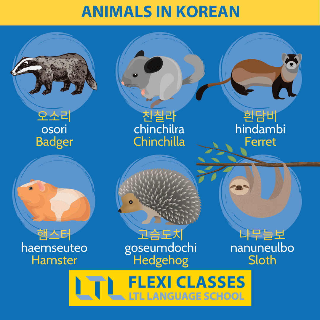 Animals in Korean (170+) // The Ultimate Guide + Flashcards & Quiz