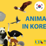 170+ Animals in Korean 🐙 The Ultimate Guide for All The Animals! Thumbnail