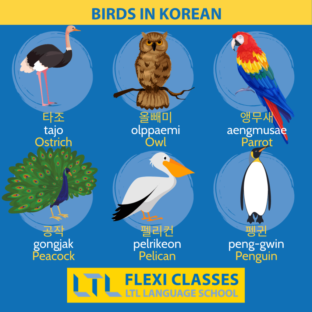 Birds in Korean - Animals in Korean