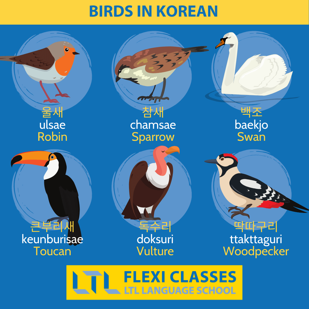 Animals in Korean (170+) // The Ultimate Guide + Flashcards & Quiz