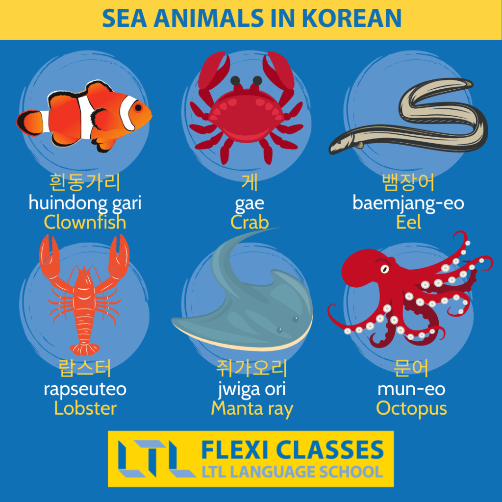 Sea Animals in Korean