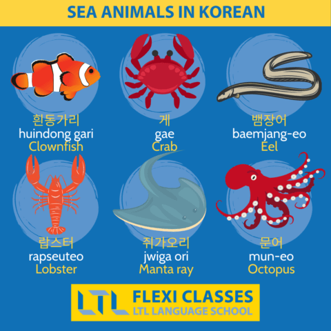 Animals in Korean (170+) // The Ultimate Guide + Flashcards & Quiz