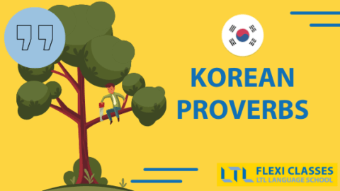 6 Important Korean Proverbs to Know for Daily Life Thumbnail