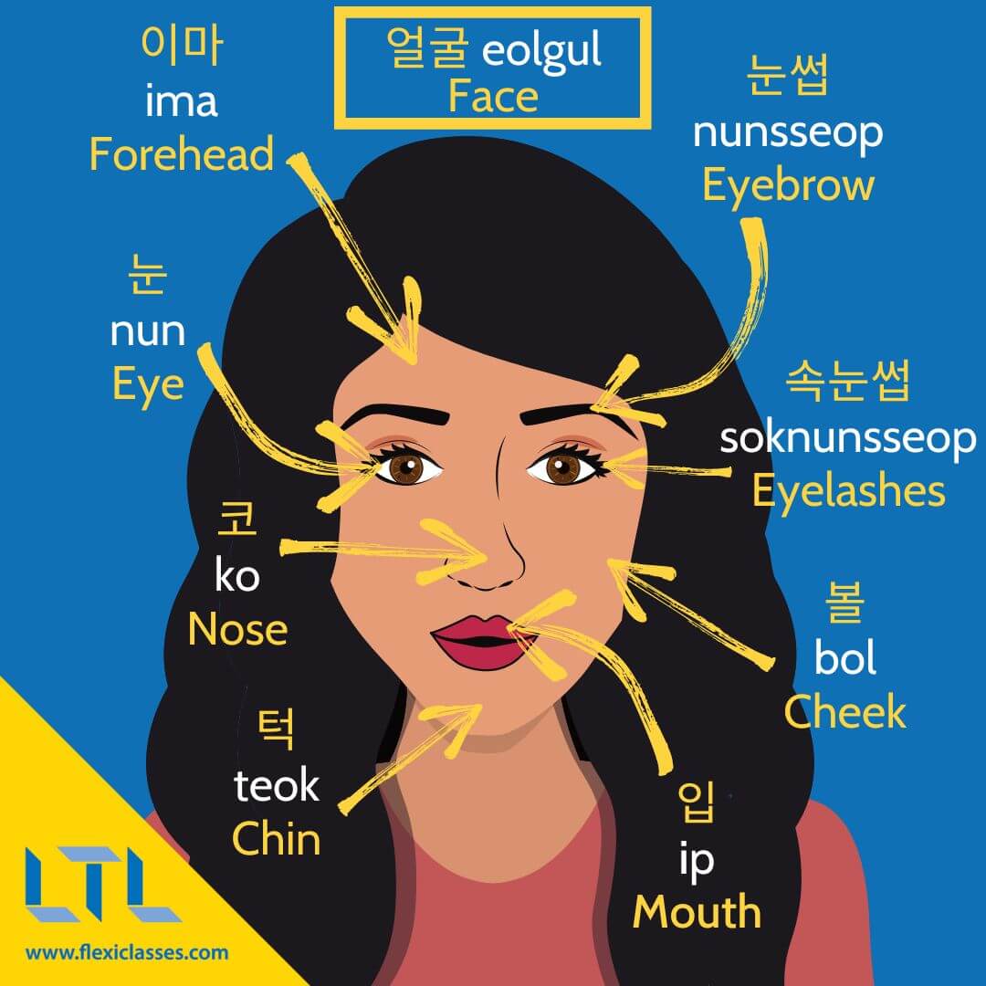 Korean Beauty Standards // Face, Eyes & Body (Complete Guide)
