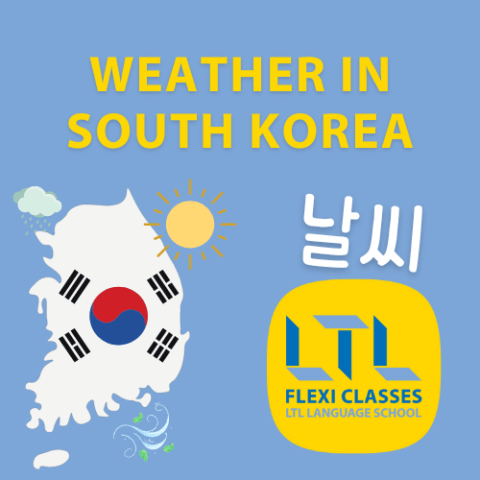 Weather in South Korea (City by City) | A Quick & Easy Guide