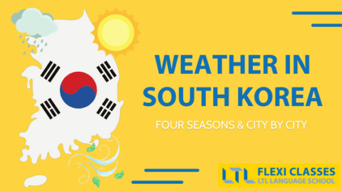 A Traveller's Guide to Weather in South Korea | Best Times to Travel & More Thumbnail