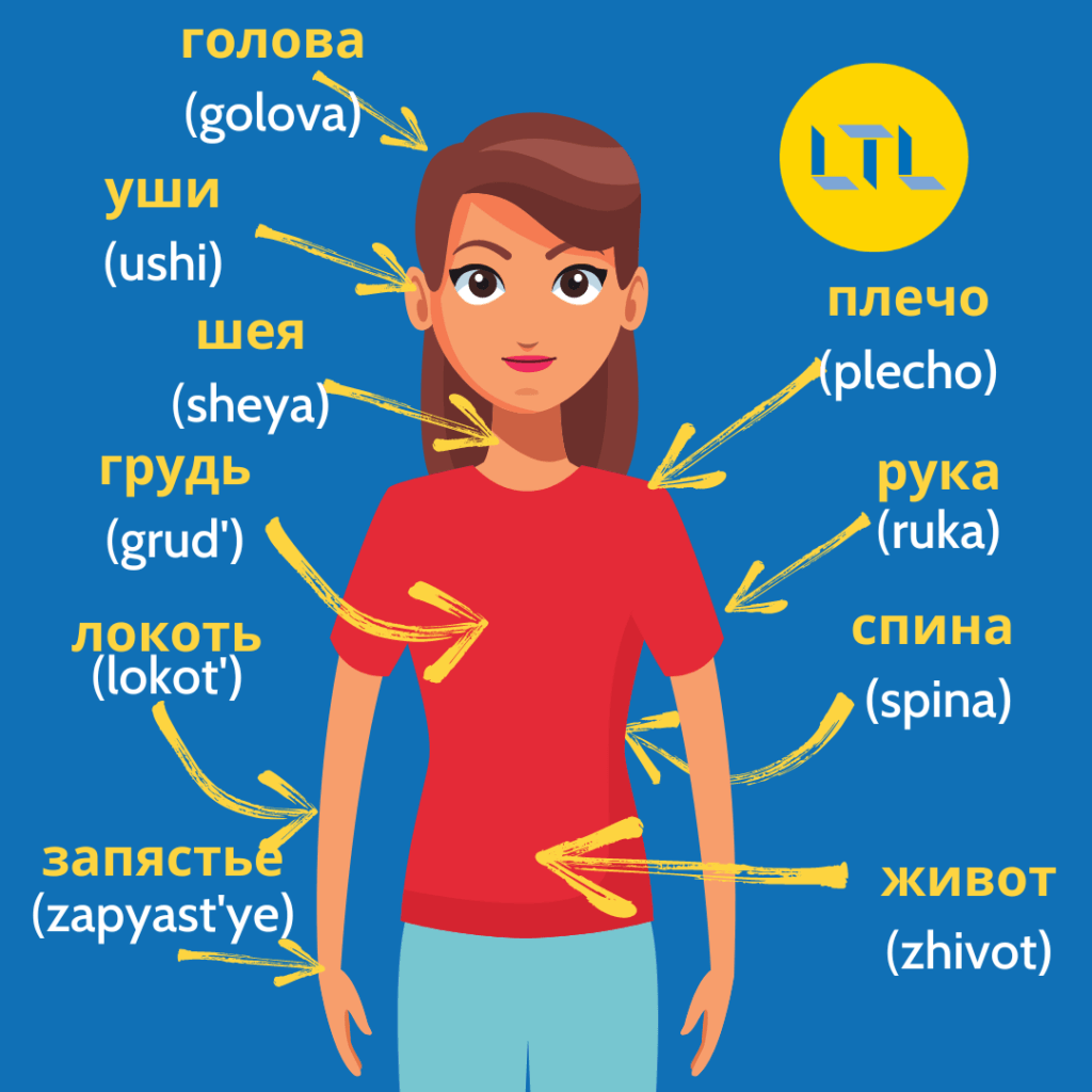 Body Parts in Russian