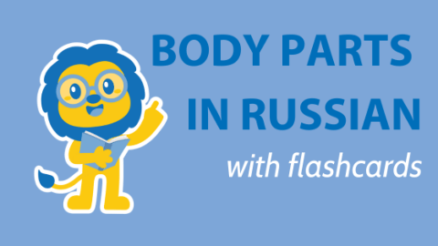 Complete Guide To Naming 41 Body Parts in Russian Thumbnail