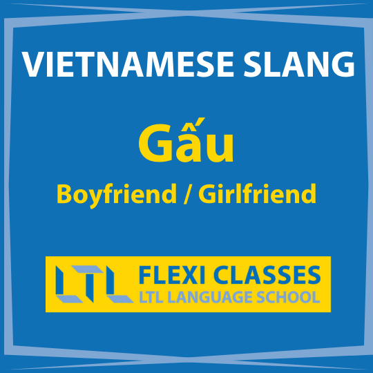 Slang words in Vietnamese