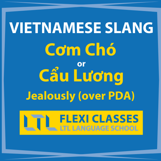 Vietnamese Slang Words