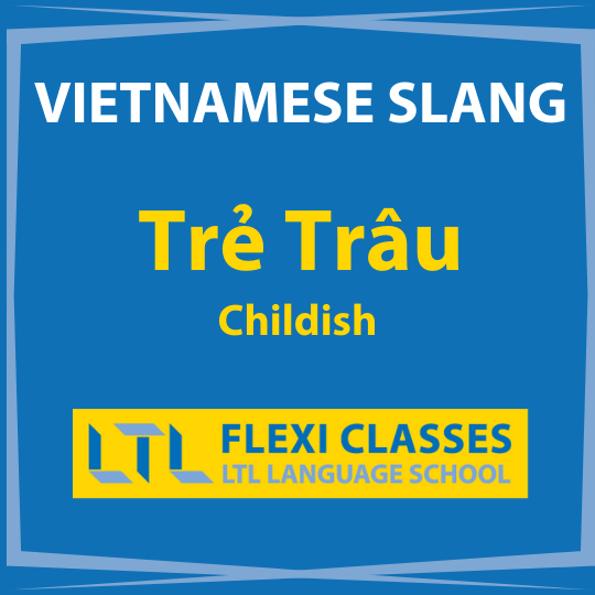 Vietnamese Slang Words