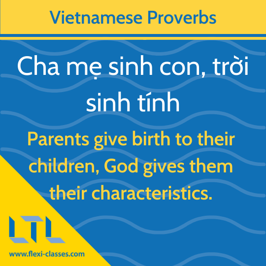 Vietnamese Sayings