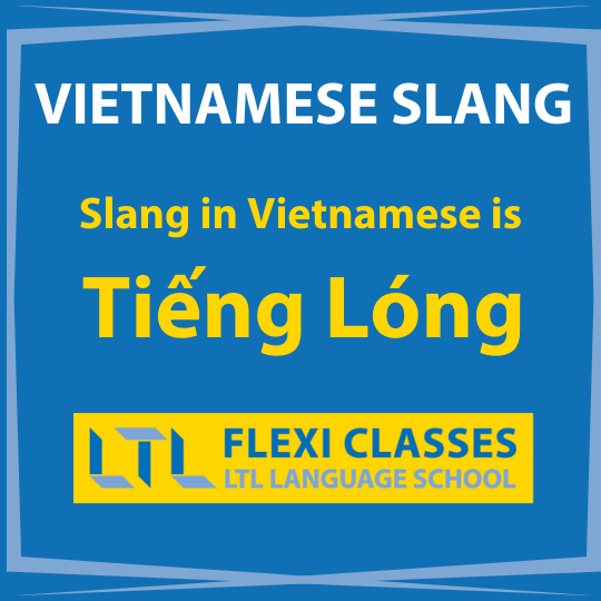 Vietnamese Slang