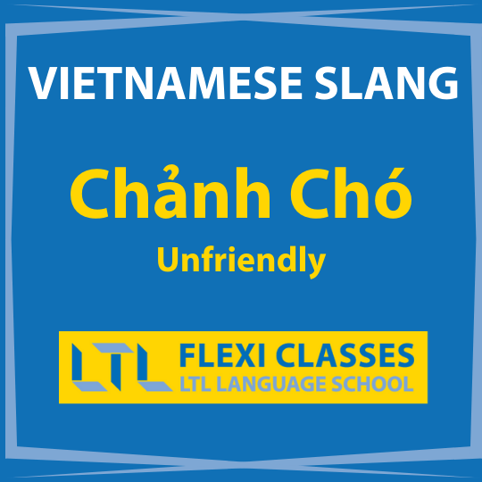 Vietnamese Slang