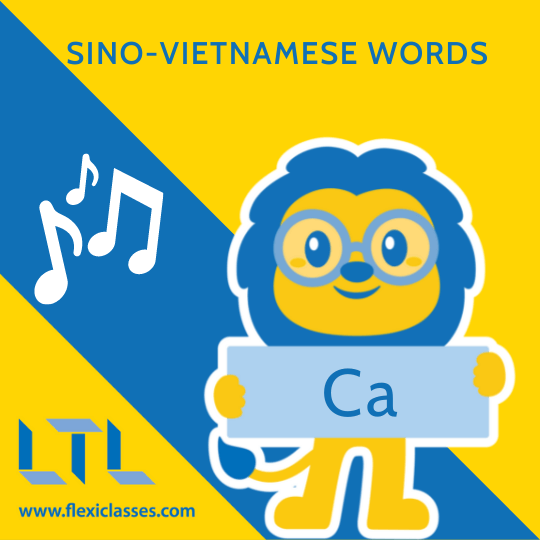 Sino-Vietnamese Vocab