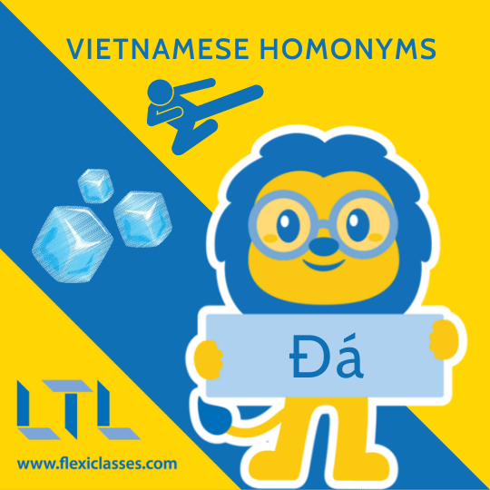 Vietnamese Homonyms