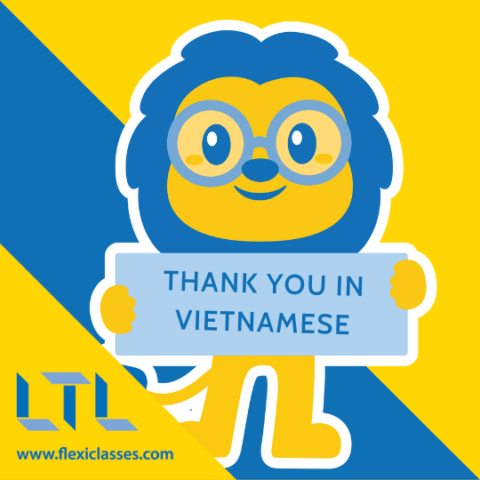 How To Say Thank You in Vietnamese // 33 Fantastic Phrases To Learn