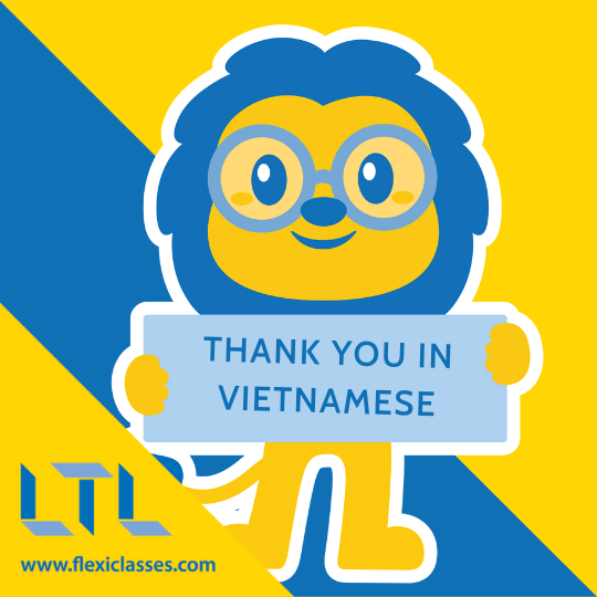 Saying thank you in Vietnamese