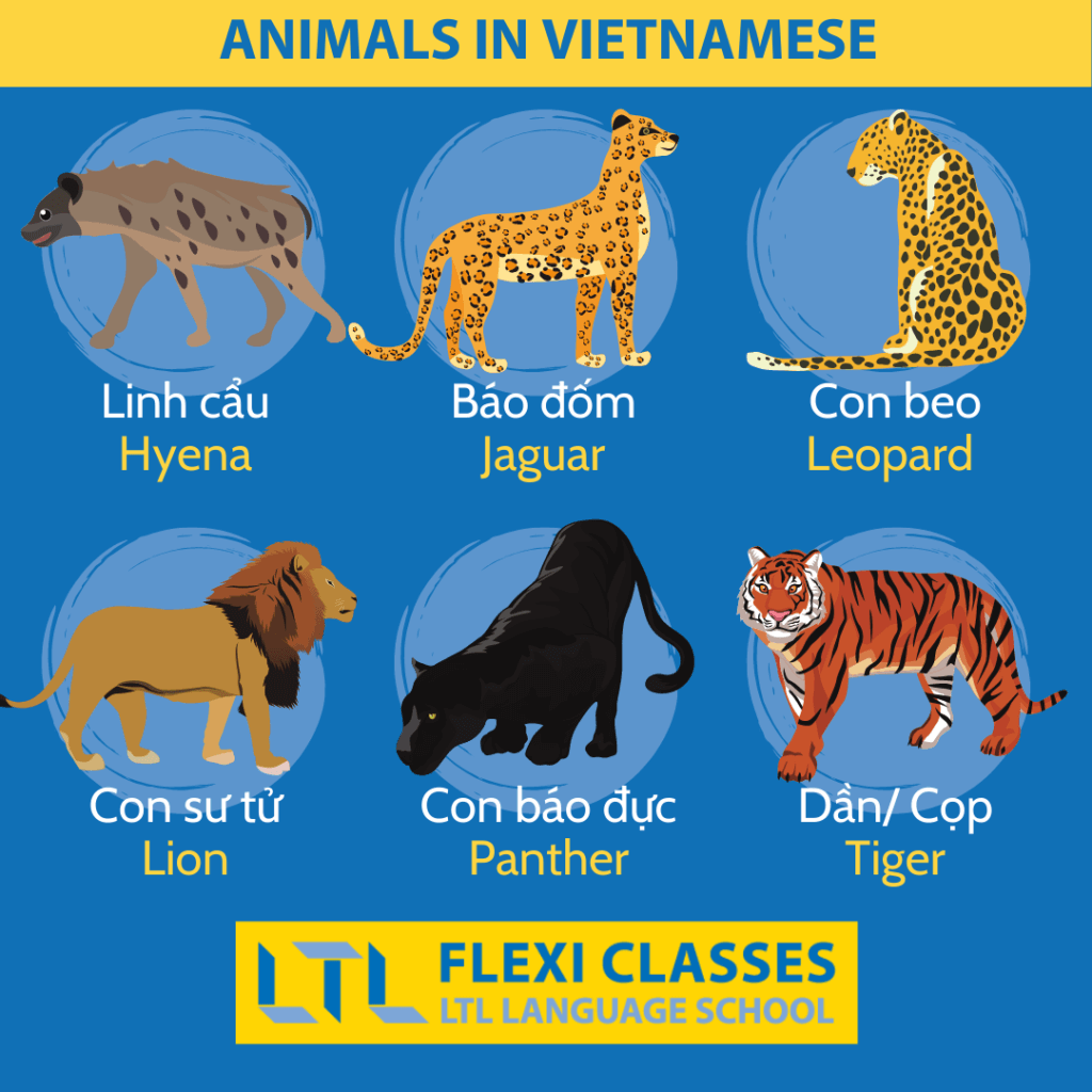 Animals in Vietnamese